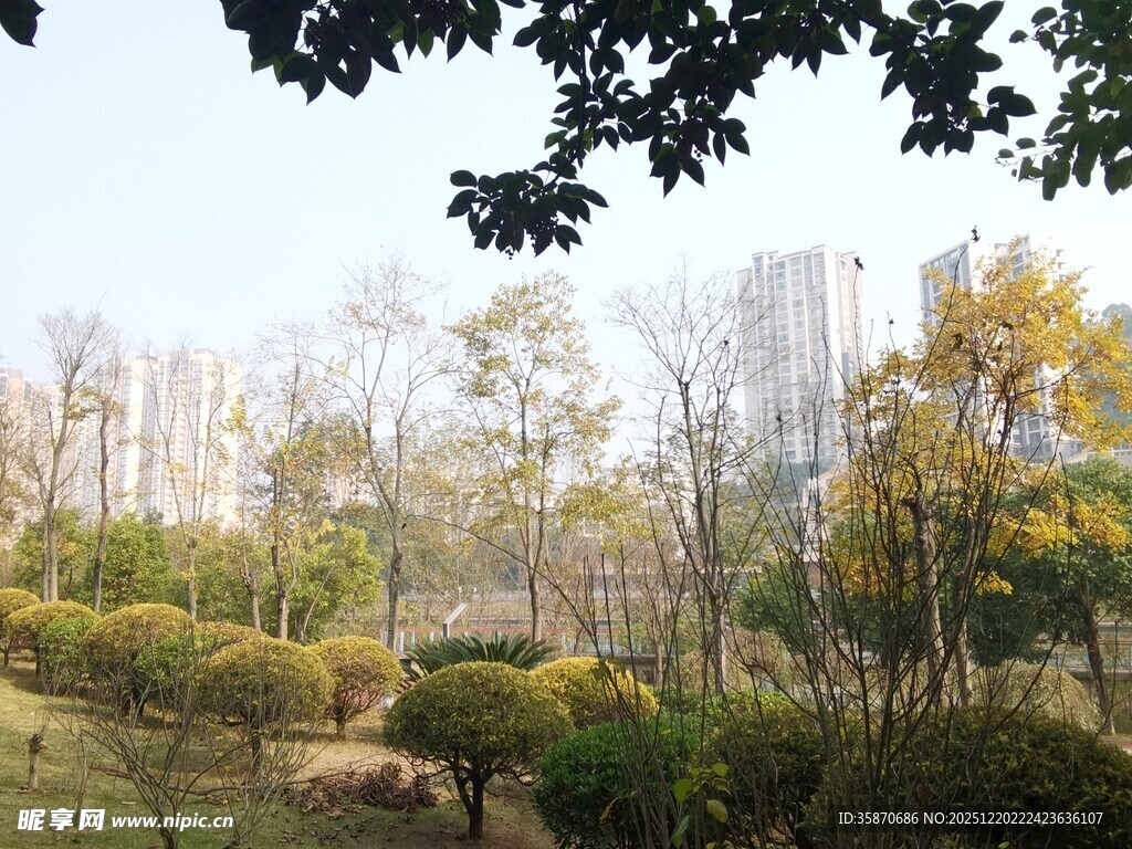 秋日公园绿意盎然景致