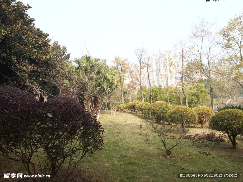 园林景观绿植景色宜人