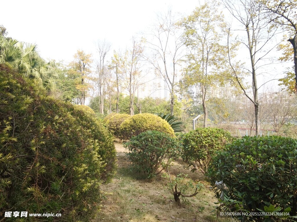 秋日园林绿植景观