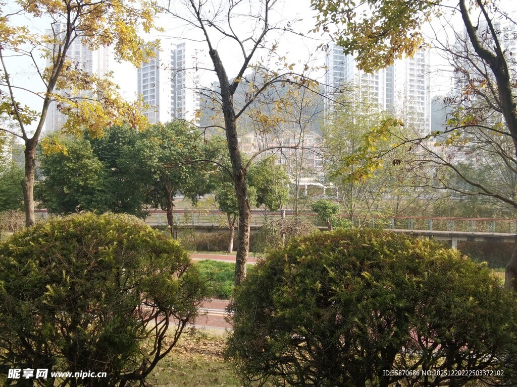 城市中的静谧园林景观