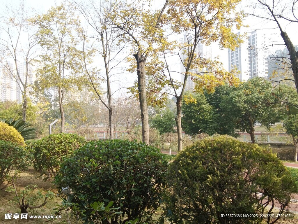 城市公园绿意盎然的景致