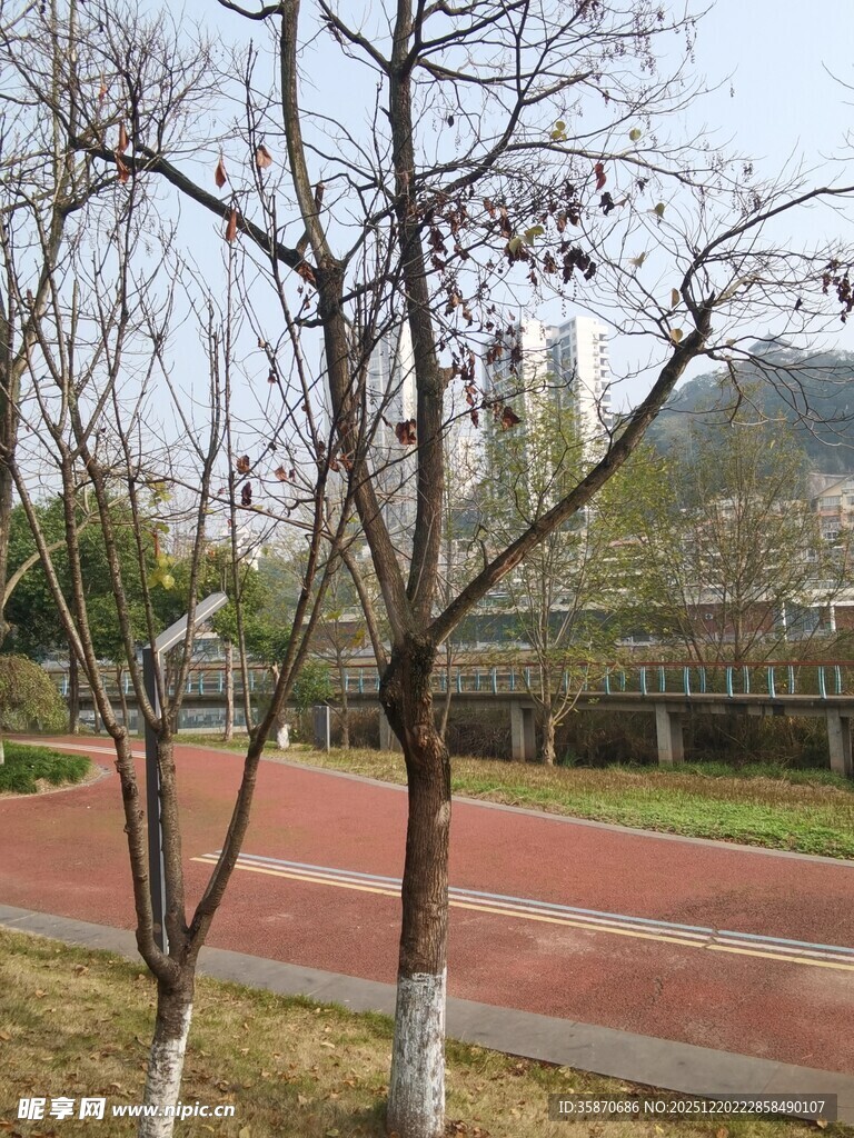 冬日公园的空旷健身步道