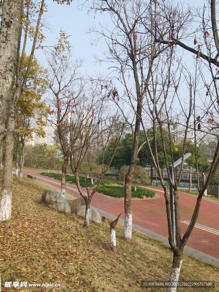 秋日公园小路风景