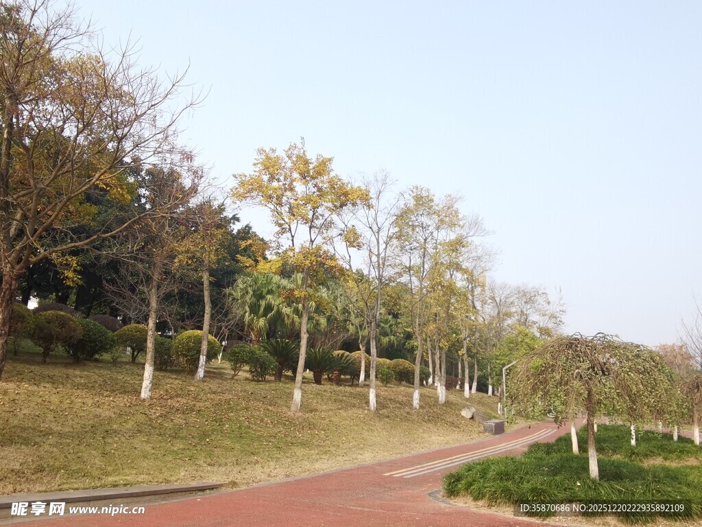 秋日公园小路风景