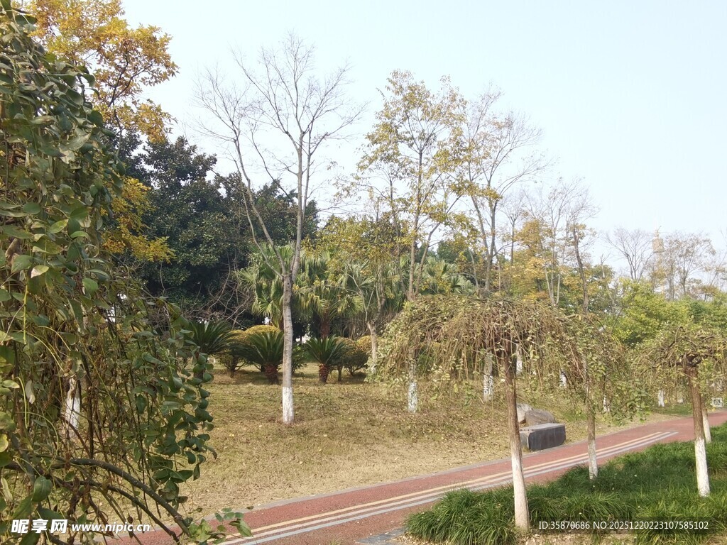 秋日公园林间小道风景