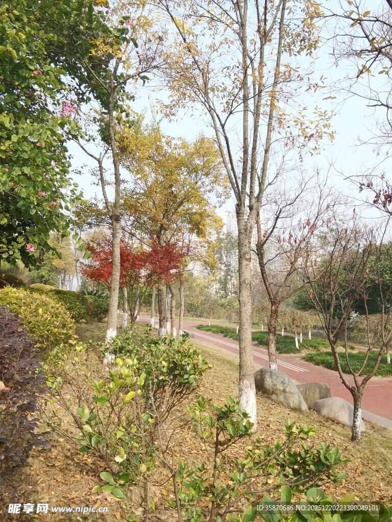 春日公园小径景观