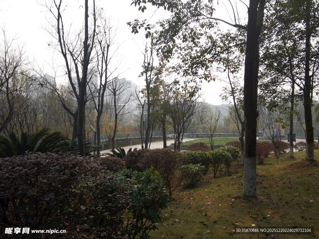 冬日公园静谧景致