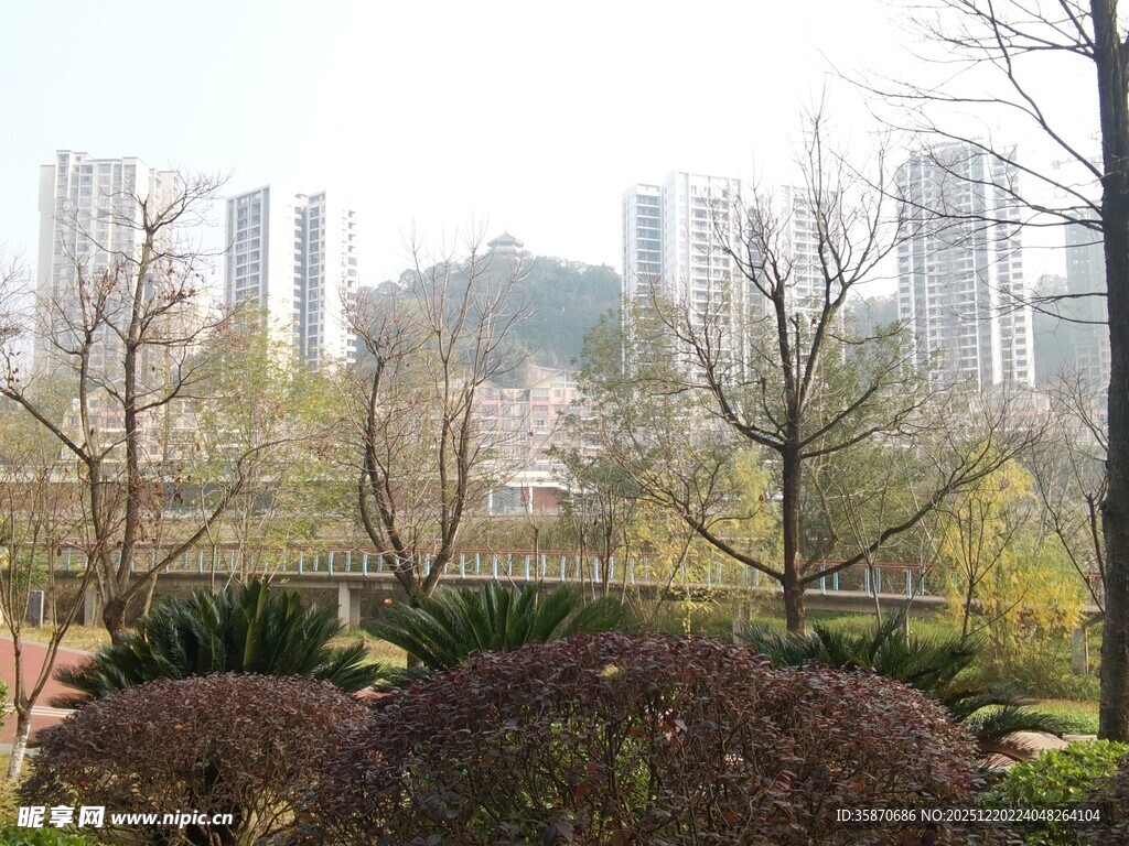 城市园林景观中的绿植与建筑