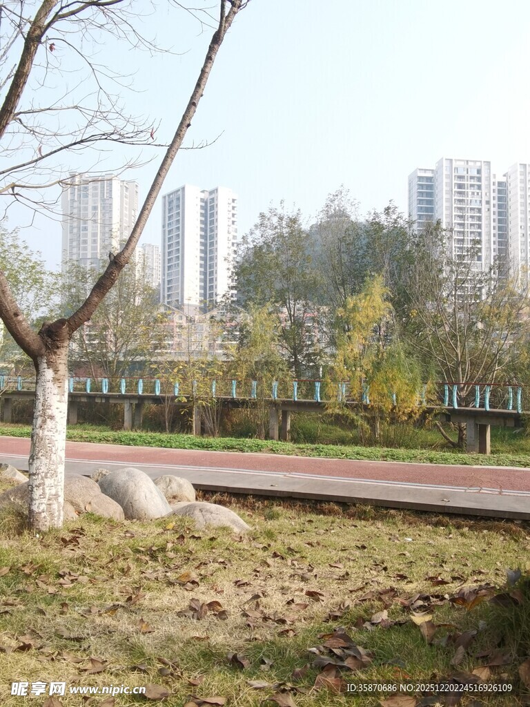 城市中宁静的自然景观