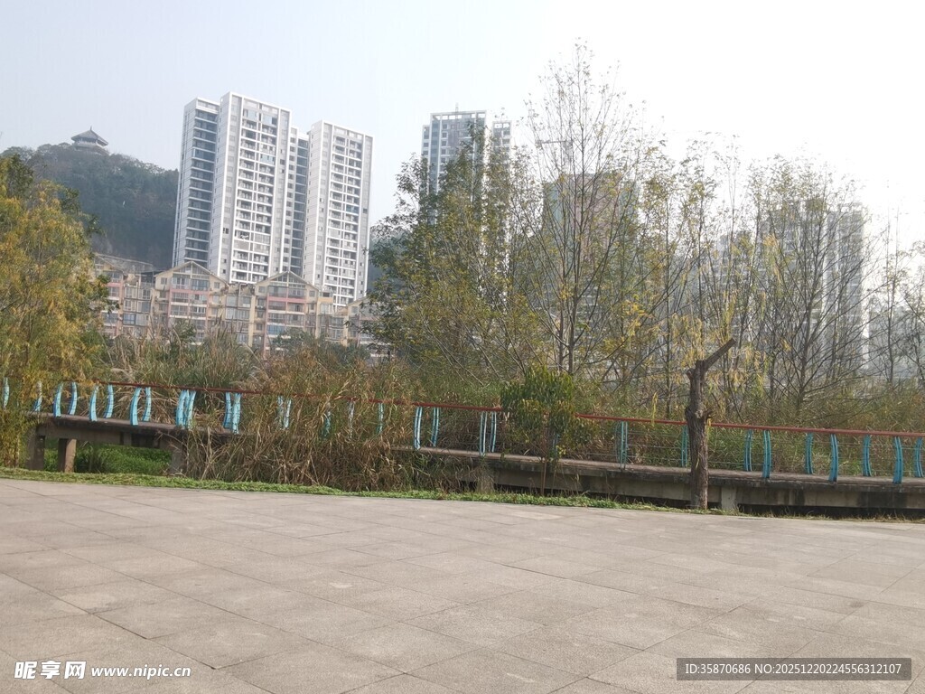 城市公园中的开阔休闲场地