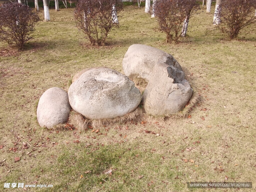 草地上的几块大石头