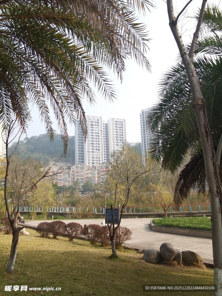 城市公园中的休闲场景