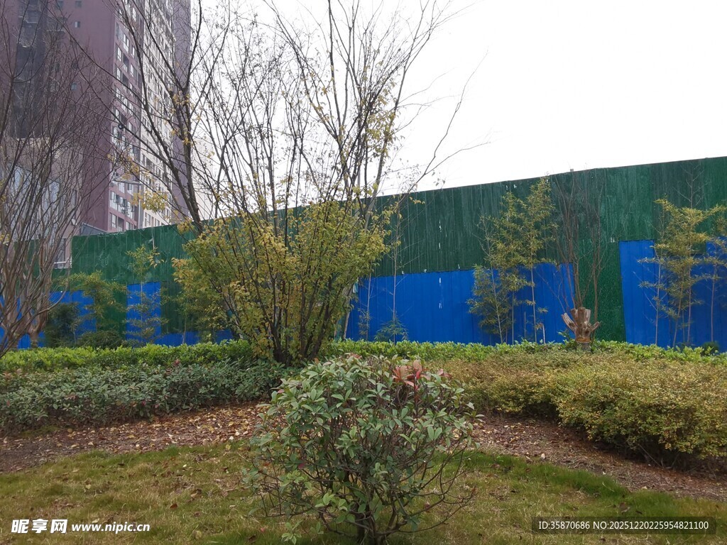 城市中的绿植景观角落