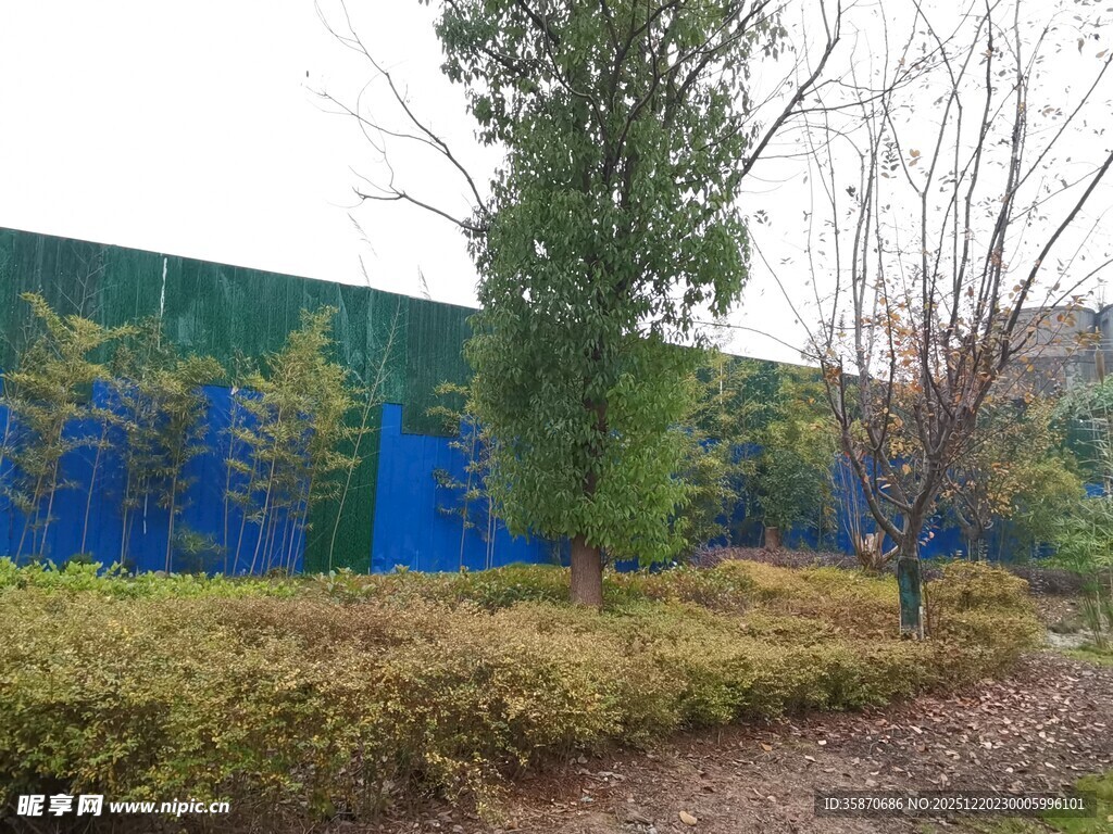 户外绿植景观墙场景