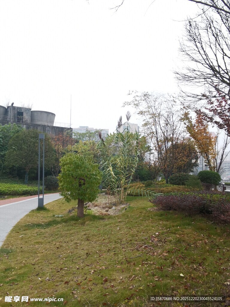 城市公园中的静谧草地景观