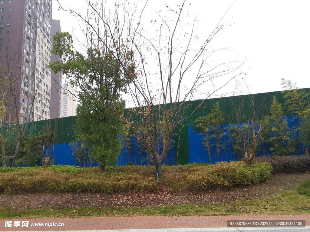 城市施工围挡旁的绿植景观