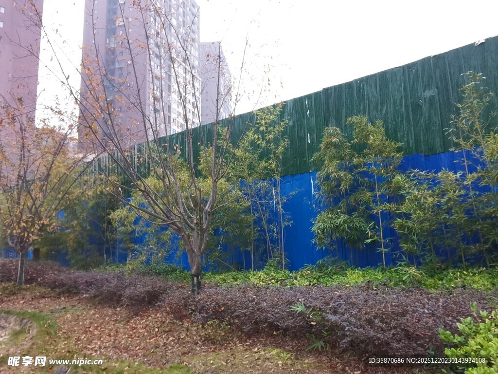 城市施工围挡旁绿植景观