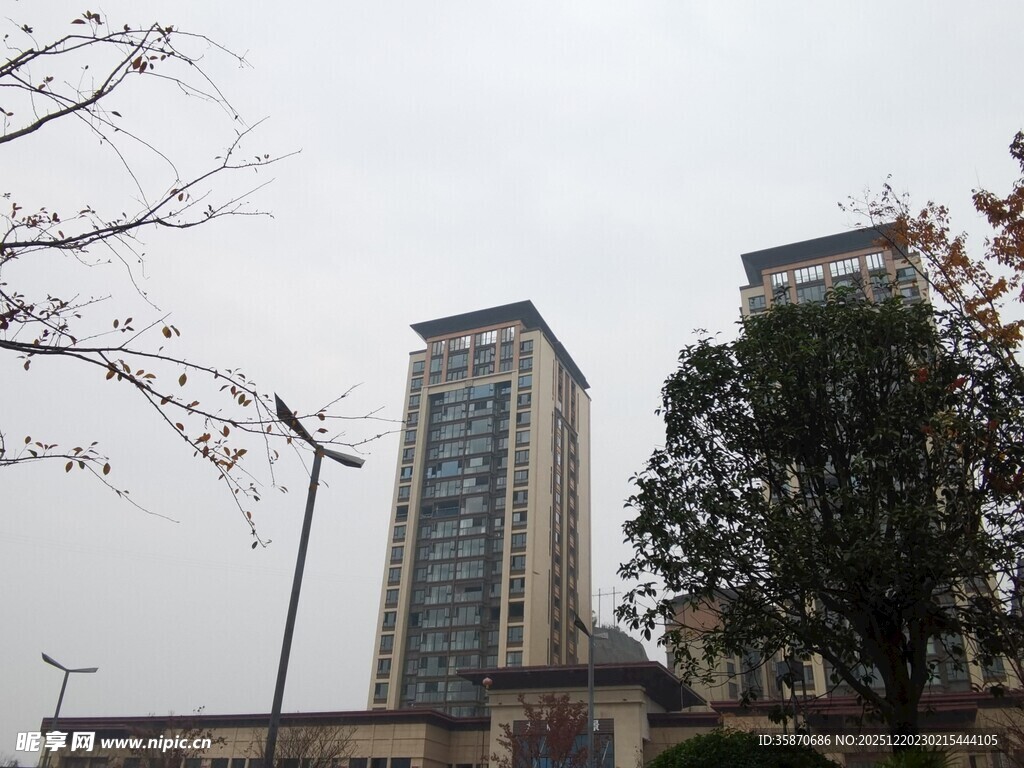 城市高楼与周边树木景观