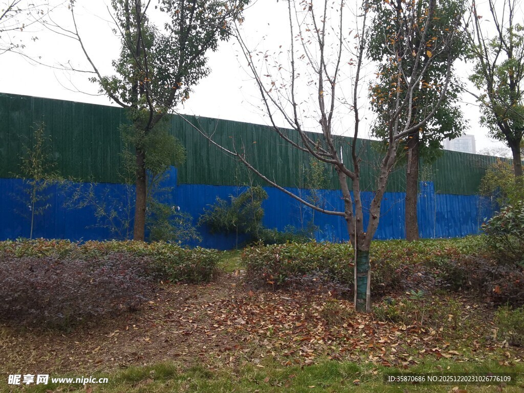 户外绿植与蓝色围挡景观