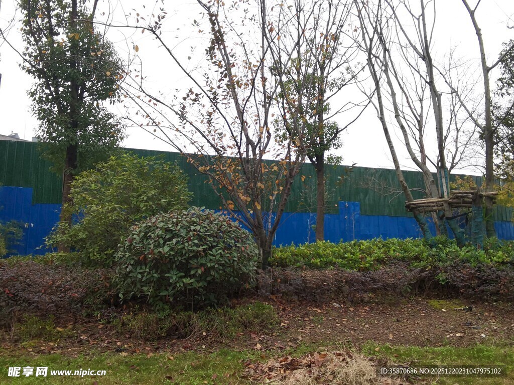 户外绿植与蓝色围挡景观