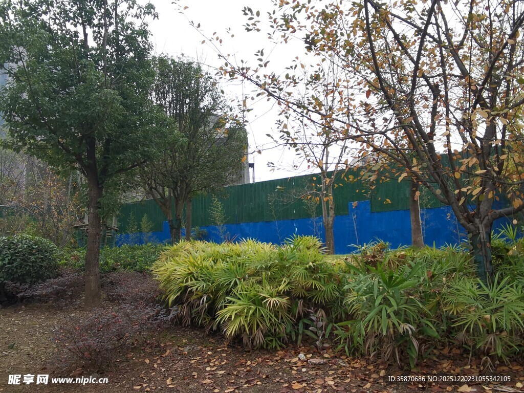 户外绿植与蓝色围挡景观