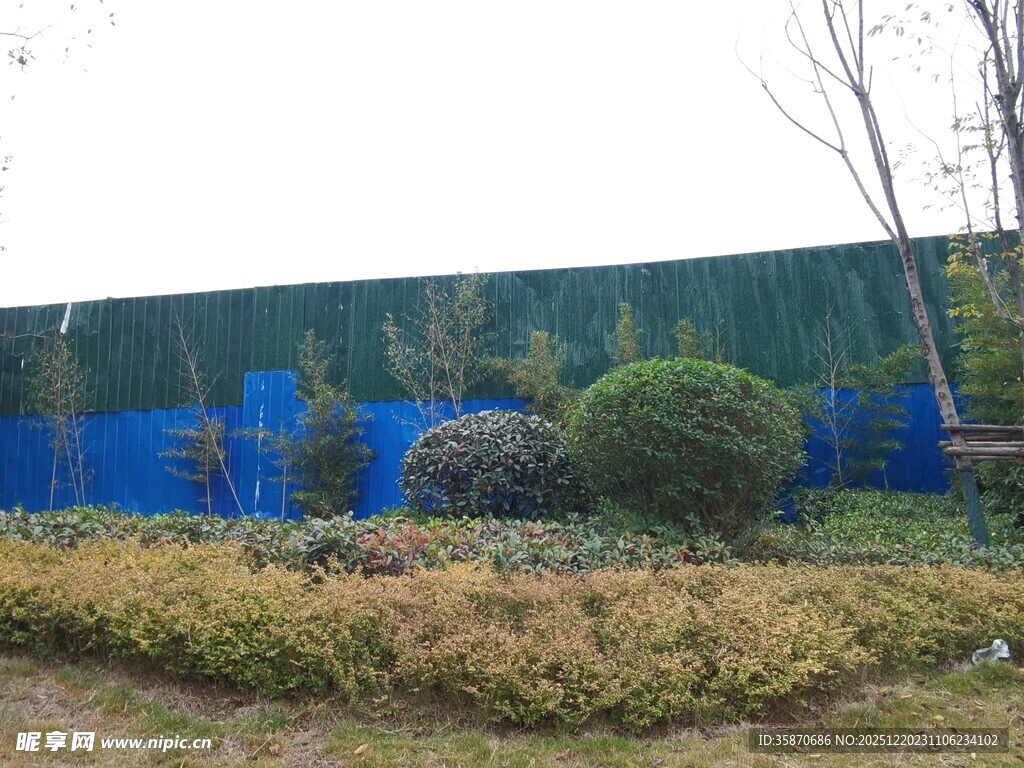 户外蓝绿围挡旁的绿植
