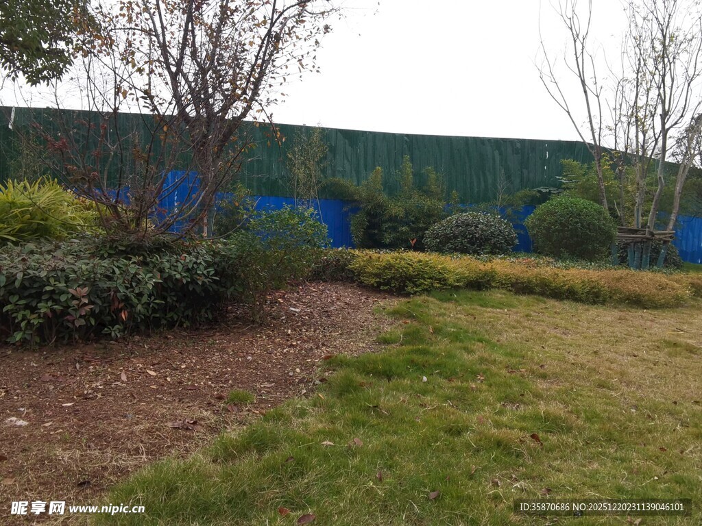 户外绿植景观一角