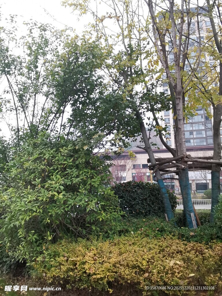 户外绿植环绕的建筑景观