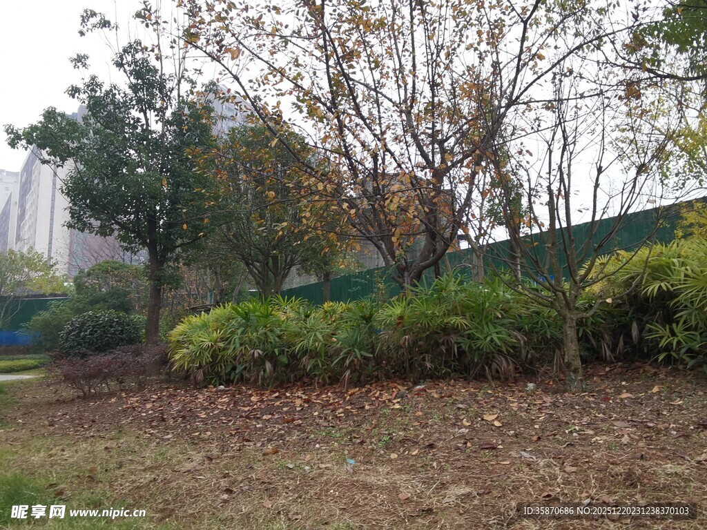 户外绿化景观场景