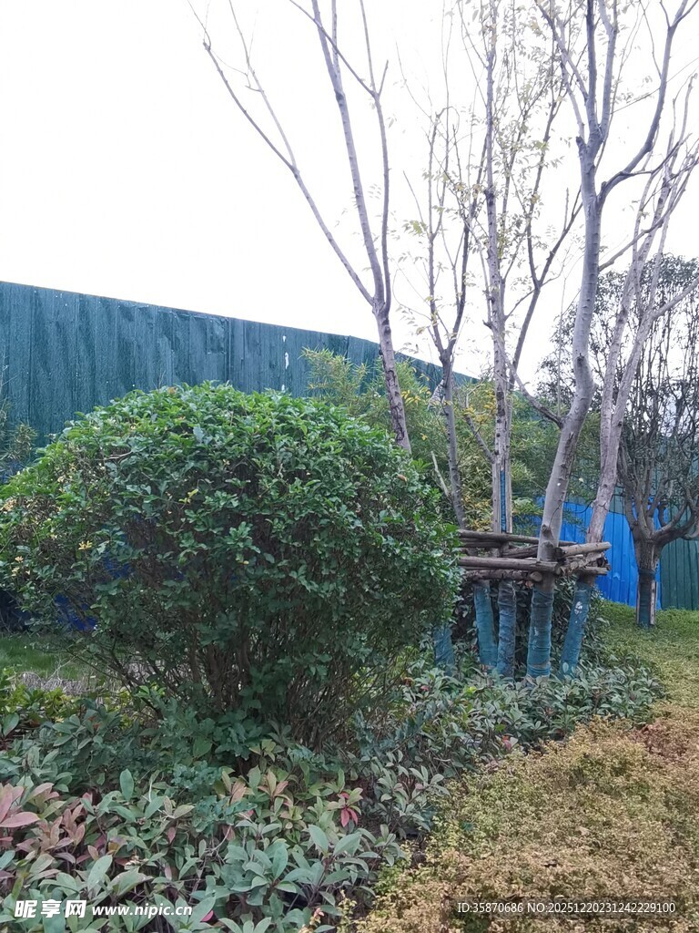 户外绿植与简易设施场景