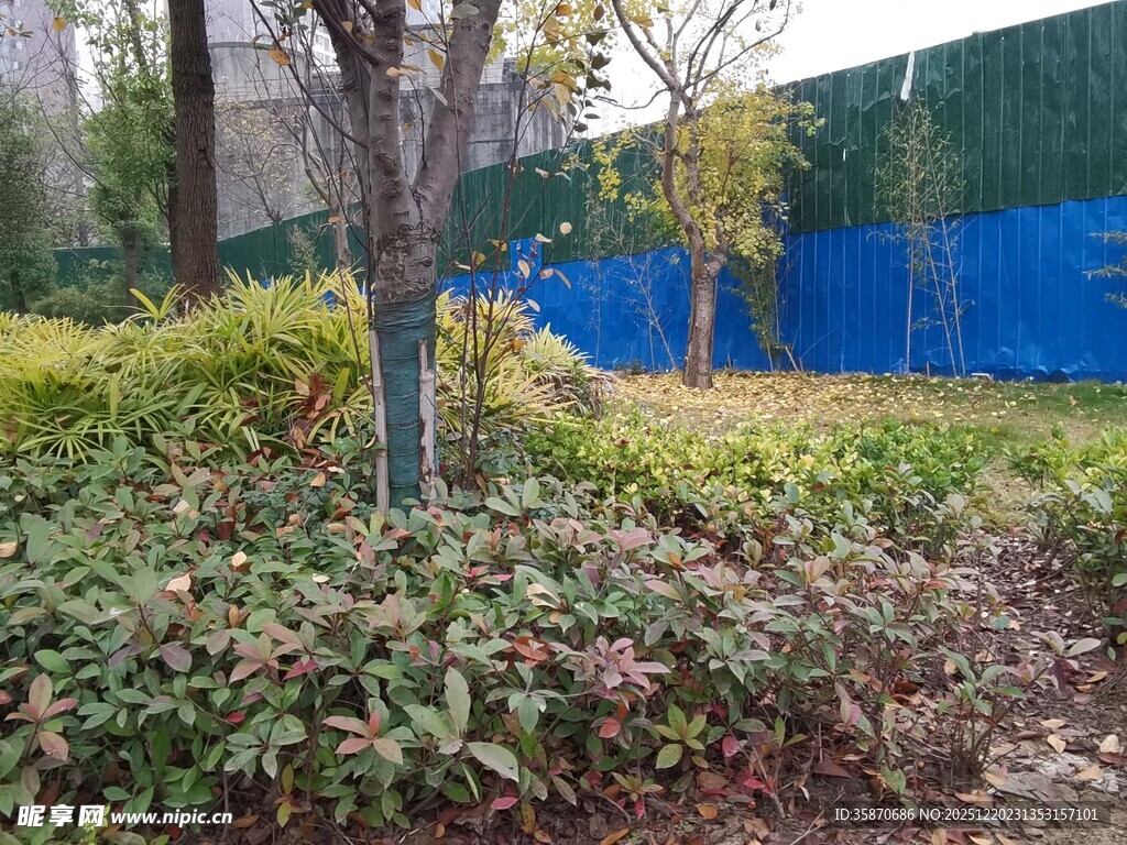 城市中的绿植景观角落