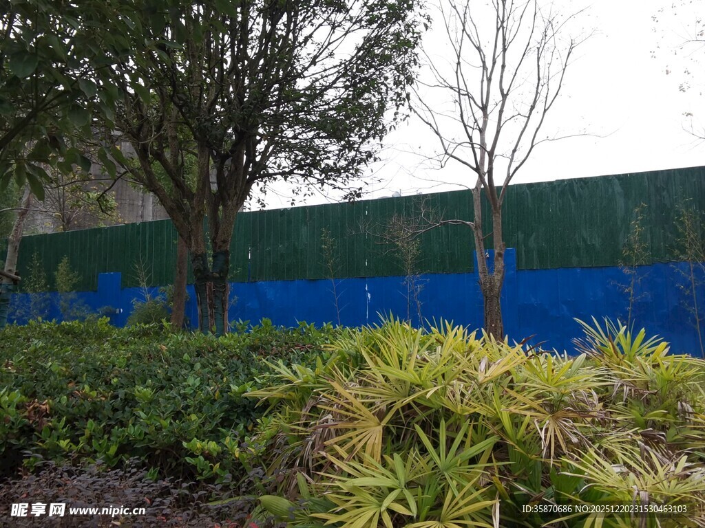 户外绿植与蓝色围挡景观