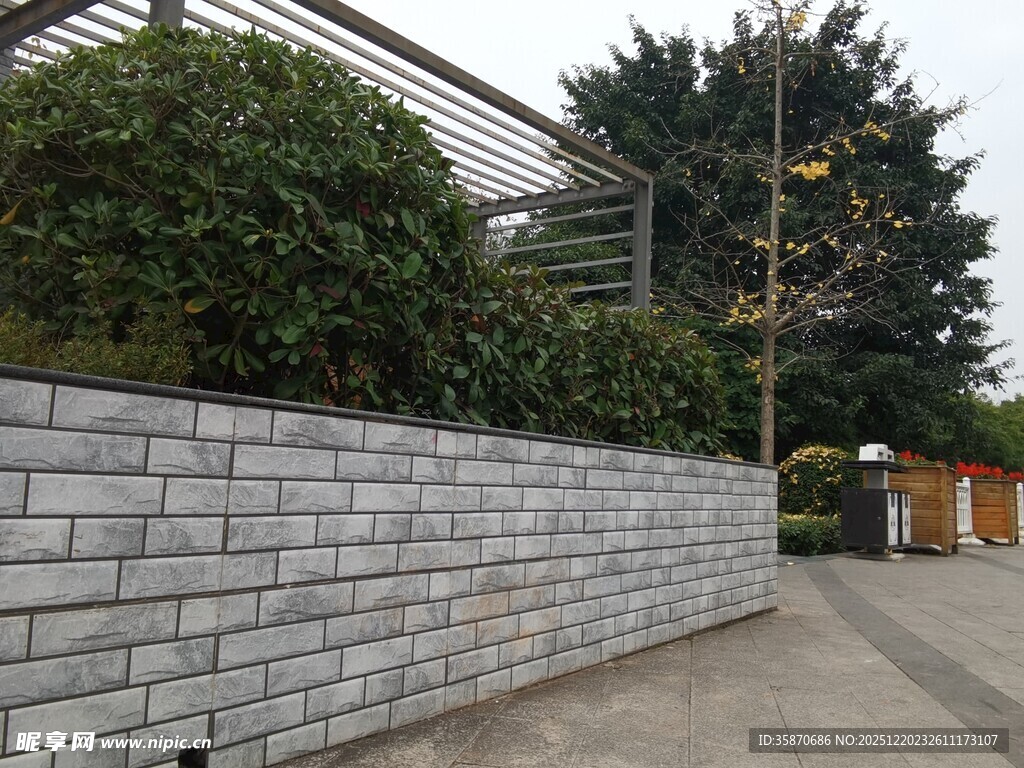 砖砌围墙旁的户外景致