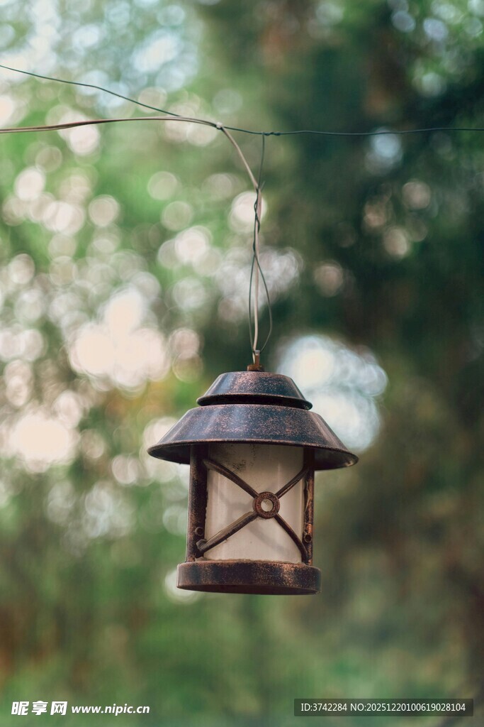 林间悬挂的古朴小灯笼