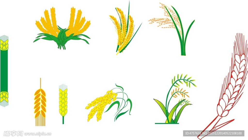 多样农作物矢量插画
