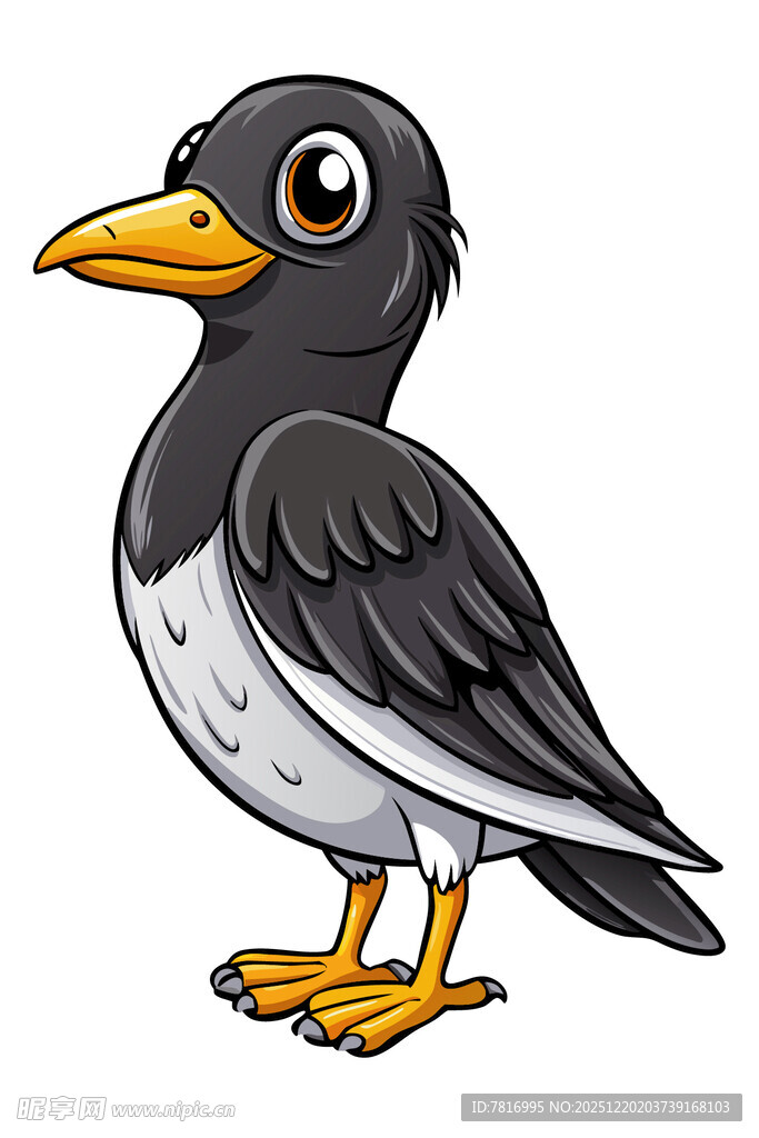 卡通形象的黑白小鸟