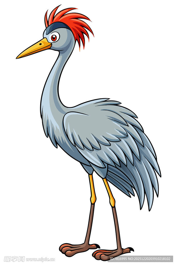 红冠灰鹭插画形象