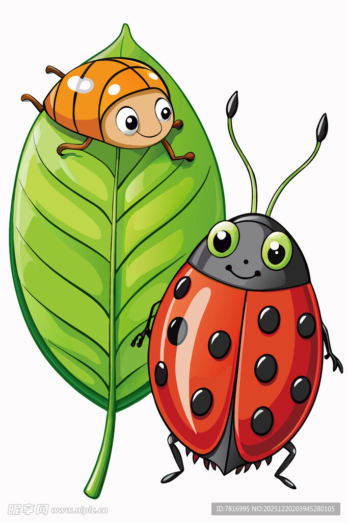 瓢虫与小虫同框画面