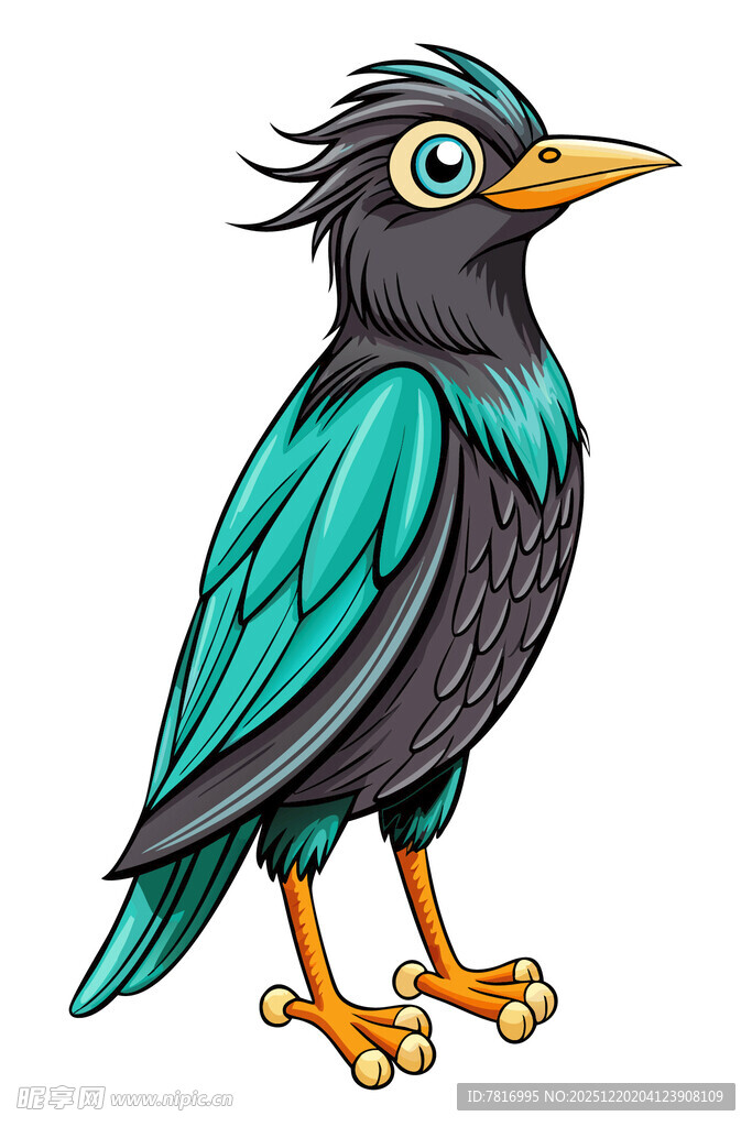 彩色卡通鸟形象展示