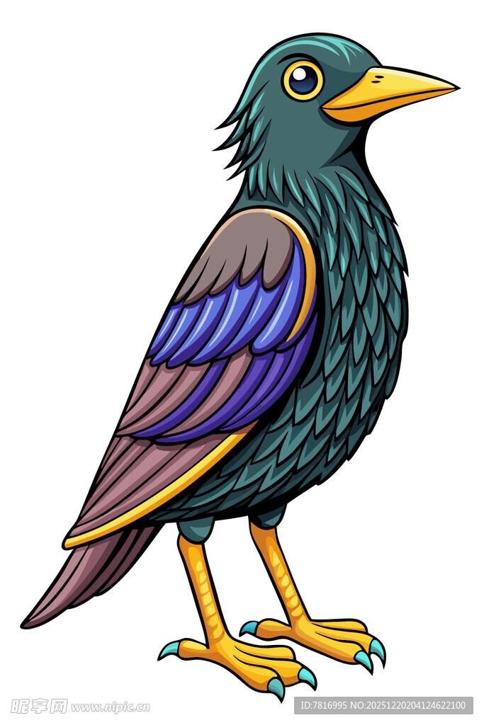 彩色插画风格的美丽鸟儿