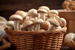 篮子里的新鲜蘑菇