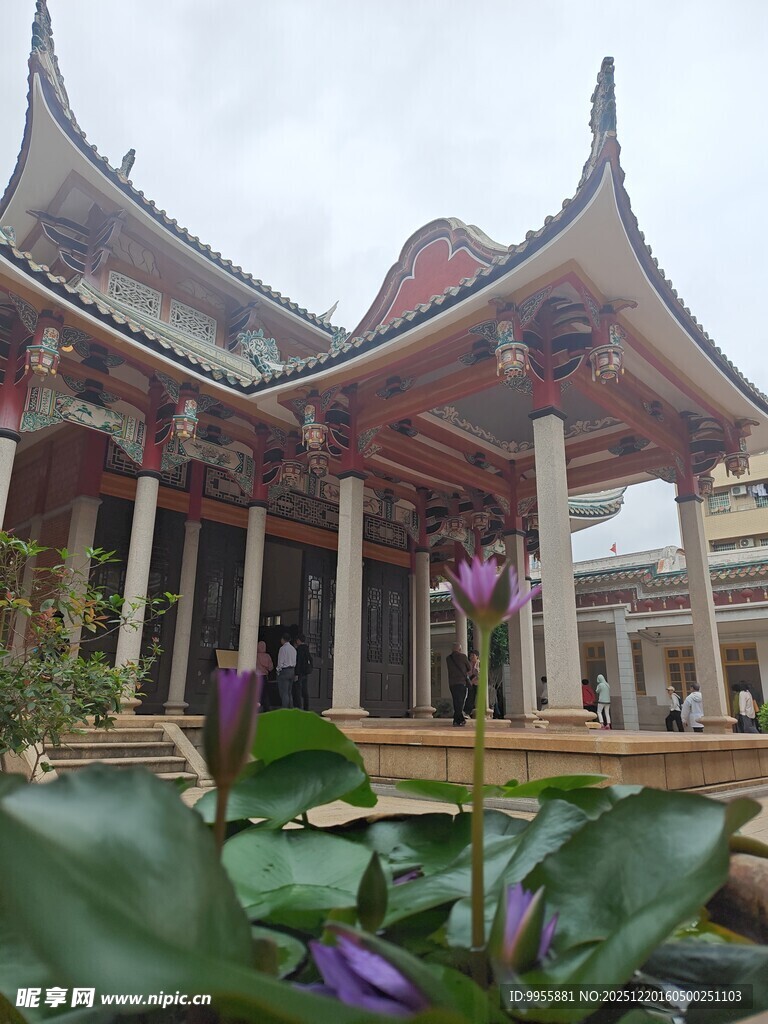 福建厦门中式古建前的荷花景致