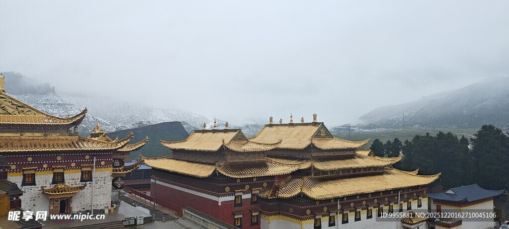 甘肃青海环线藏式金顶建筑景观