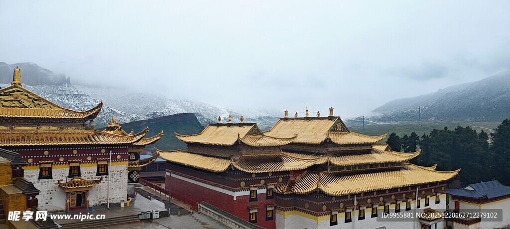 甘肃青海环线藏式金顶建筑景观