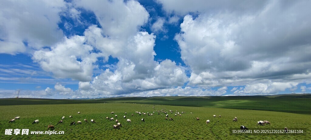 甘肃青海环辽阔草原上的蓝天白云