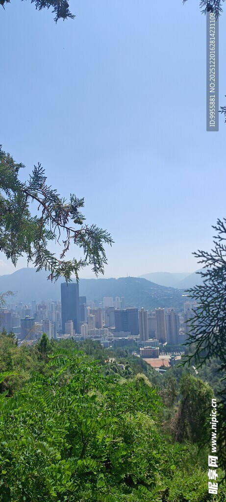 甘肃青海环线山林间远眺城市风光