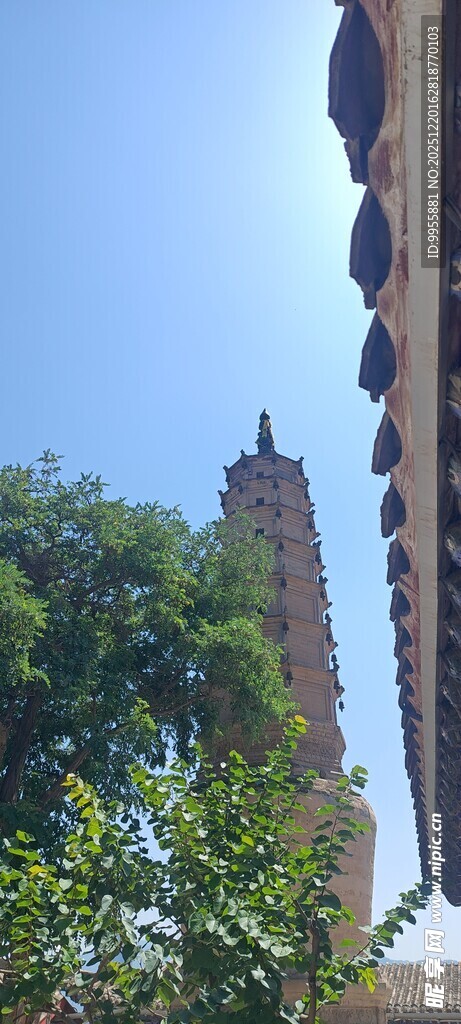 甘肃青海环线高耸塔楼与繁茂绿植