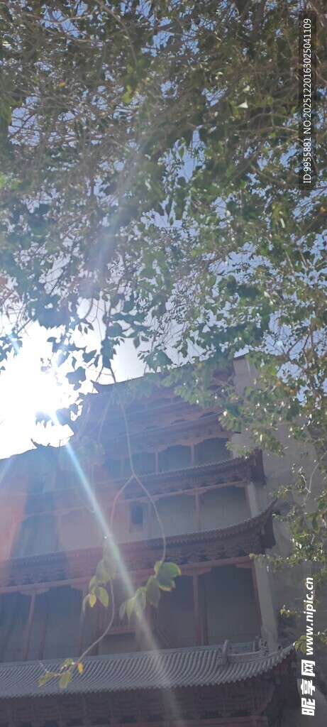 甘肃青海环线透过枝叶看建筑一角