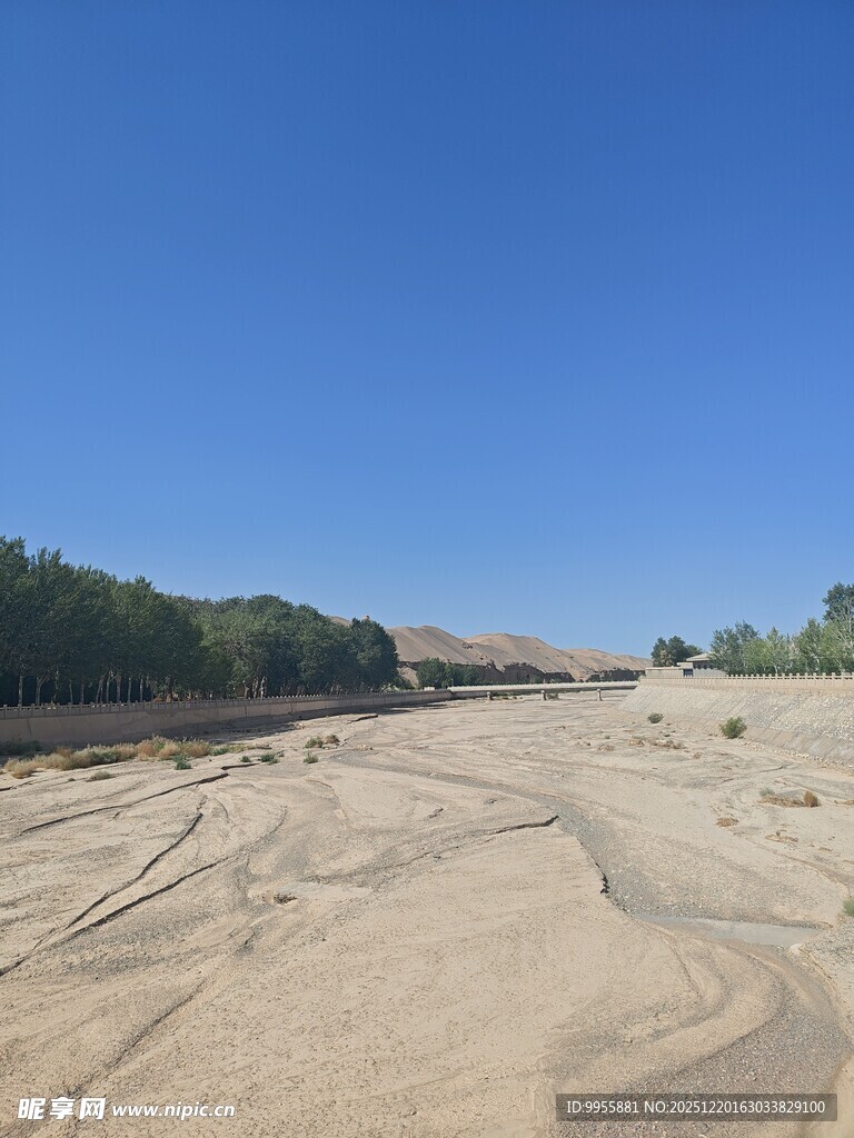 甘肃青海空旷沙地与远处树林景观