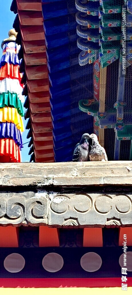 甘肃青海中式古建筑屋檐精美一角